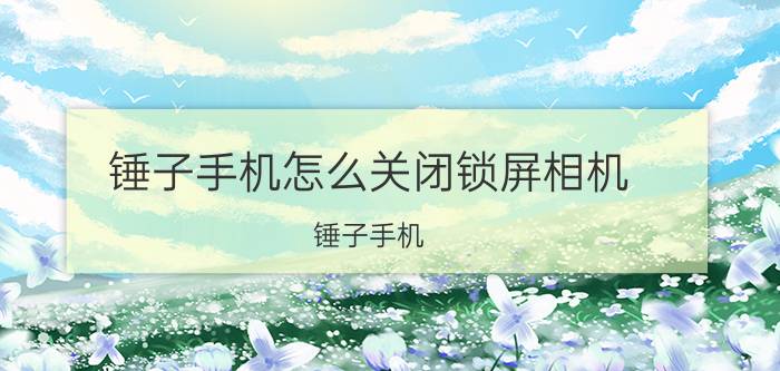 锤子手机怎么关闭锁屏相机 锤子手机 关闭 锁屏相机